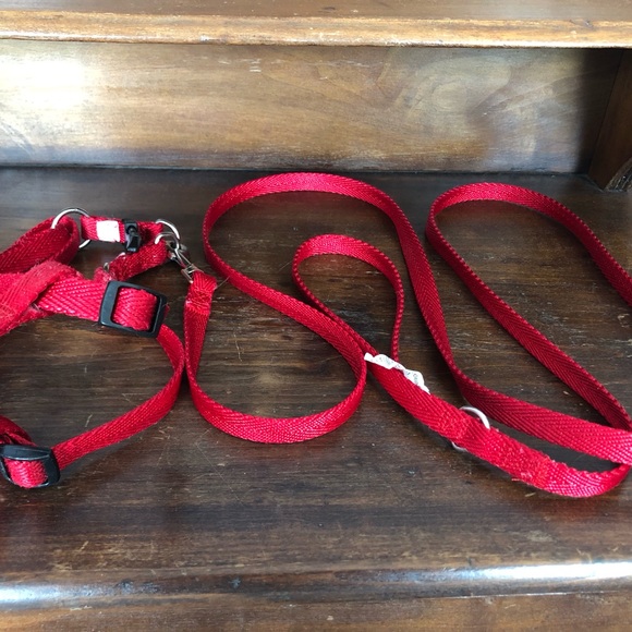 Great Choice Other - Great Choice Step-In Adjustable Dog Harness and Leash